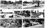 Trentham Gardens,