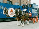 Bass Museum Shires and Dray, Bass, Burton-on-Trent