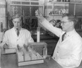 Laboratory Technicians, Scientific Services, Stafford