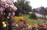 Garden in bloom, Wetley Rocks