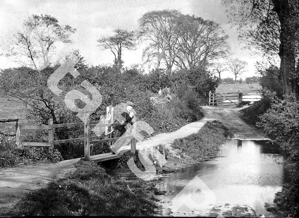 Resource Details Staffordshire Past Track