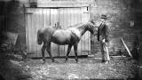 Nuneaton.  Iliffe's horse and groom