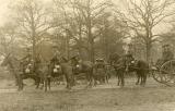 Leamington Spa.  Artillery horses
